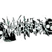 Lysergic Static