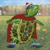 tortuga_95 的头像