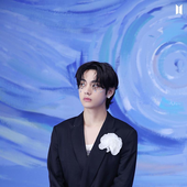 Avatar for bloomcalmly