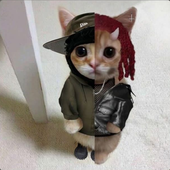 Wockysoldier 的头像