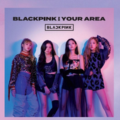 In Your Area.png