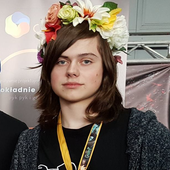 Dibonk1.png