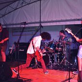 Mint Moon Live