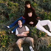 Wallows photographed by Anthony Pham