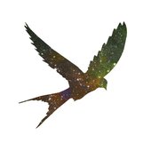 The Unknown Songbird