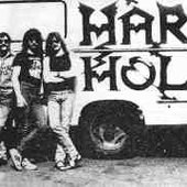 hardholz.jpg