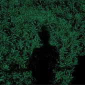avatars-000646908678-k7ayd3-t500x500.jpg