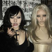 IMG_2655.jpeg