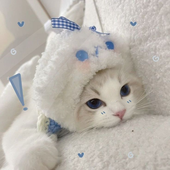 leaap7 的头像