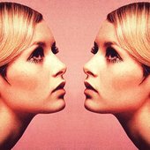 twiggy