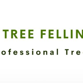 Avatar for treefellingpret