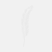 Feel [Explicit]