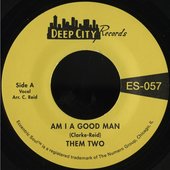 Am I a Good Man / Love Has Taken Wings - Single