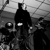 Cineris live.