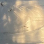 IMG_9714.jpeg