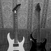 Kramer Custom Shop USA, Schecter Blackjack USA/Korea