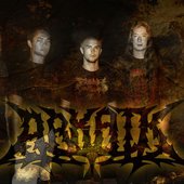 Arkaik 2010