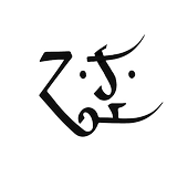 ZS
