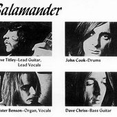 Salamander (U.K., 1971)