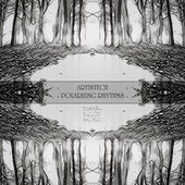 Polarizing Rhythms