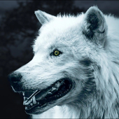 Avatar for MrBlackSam