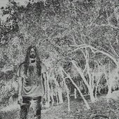 0040302231_10.jpg