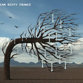 TeamBiffyFrance için avatar