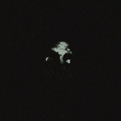 possible face