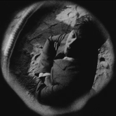Avatar de spookoku