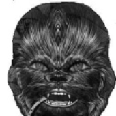 WookiW için avatar