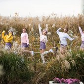 Yellow.Bee.full.164286.jpg
