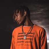 Mir Fontane