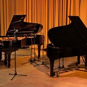 Michael Snow & Thollem McDonas.jpeg