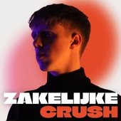 Zakelijke Crush