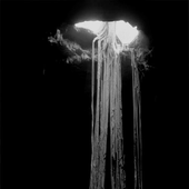 cybo-genocide 的头像