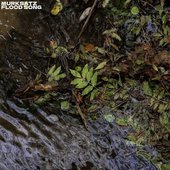 Flood Song - Single