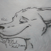 LastFM profile picture for @avoidance