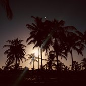 Arara's Flight - Single.jpg