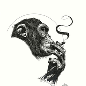 TheApestMonkey 的头像