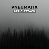 Attic Attack