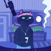 Augustyn Space Cat 2.jpg