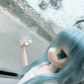 dincbonc 的头像