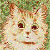 Avatar di gniado