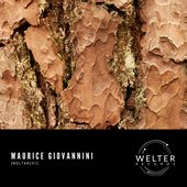 WELTER251