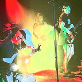 canaries live