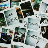 Chasing Goats