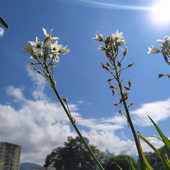 Alexarod1024-02 的头像