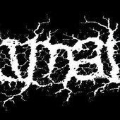 Animality
