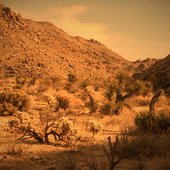 Jared Poolaw - Nuclear Fallout: Arroyo