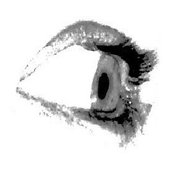 Square Eye 2.jpg